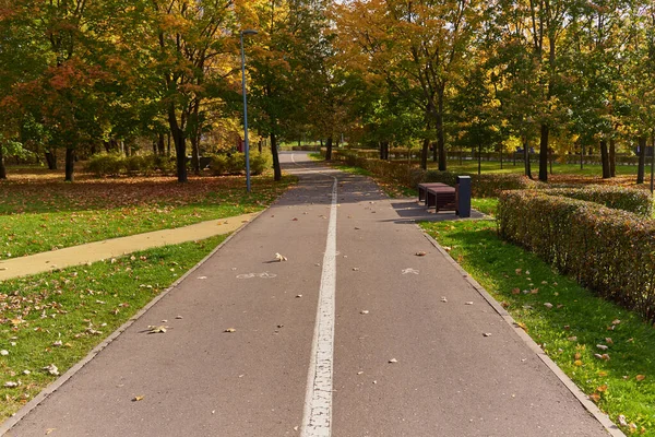 Estrada Pavimentada Parque Público Outono Dividida Por Marcações Bicicleta Peças — Fotografia de Stock
