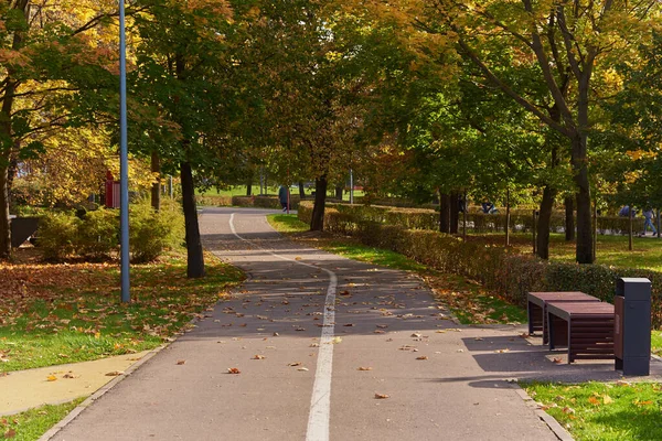 Estrada Pavimentada Parque Público Outono Dividida Por Marcações Bicicleta Peças — Fotografia de Stock