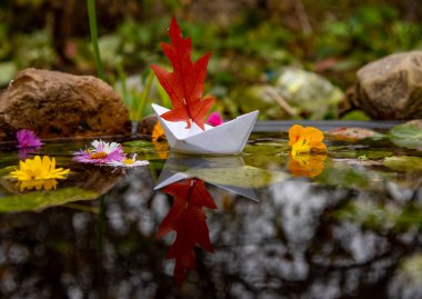 Yelken yerine kırmızı meşe yaprağı olan kağıttan bir tekne parlak çiçeklerle çevrili suya yansır..