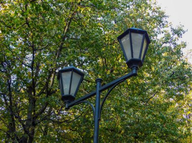 Yeşil ağaçların arka planına karşı eski moda bir sokak lambası.