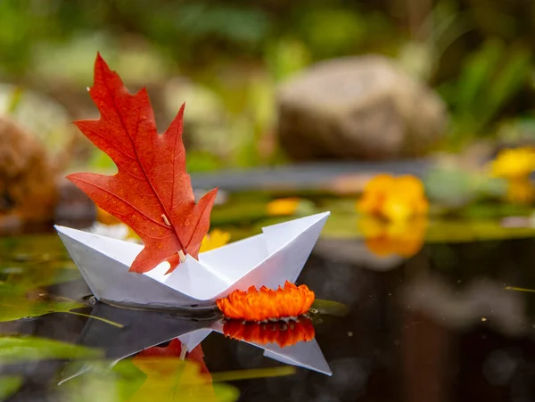 A paper boat with a red oak leaf instead of a sail is reflected in