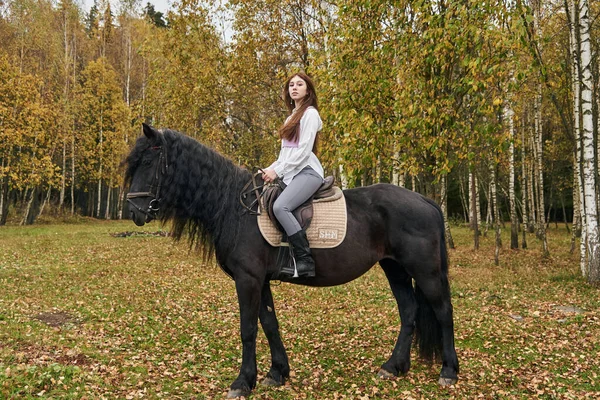 Una Joven Elegante Sienta Caballo Bahía Con Una Melena Gruesa — Foto de Stock