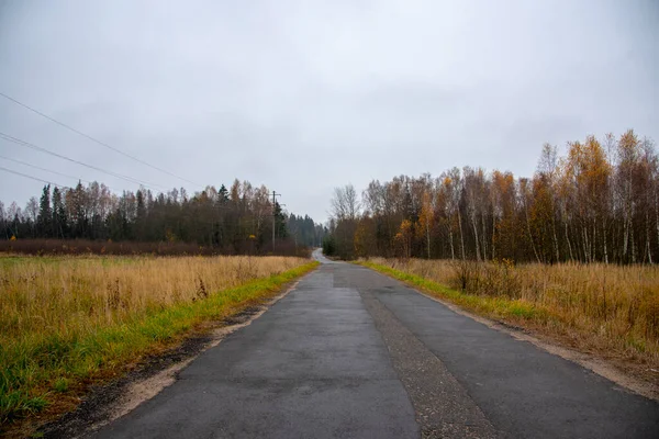 Herbstlandschaft Asphaltierte Straße Durch Herbstliche Felder Einem Bewölkten Regnerischen Tag — Stockfoto
