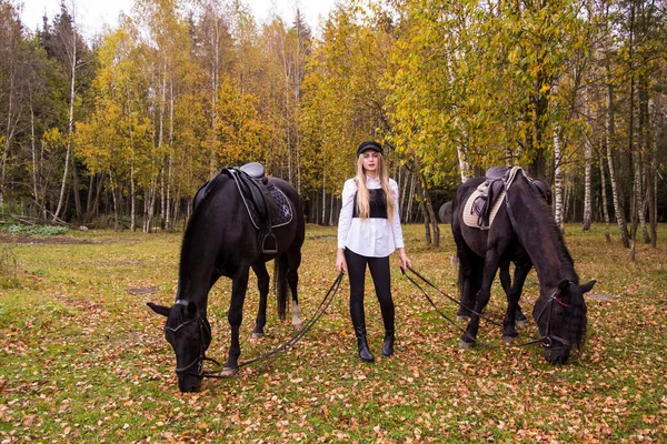 Een jong slank meisje met blond haar leidt twee paarden . — Stockfoto