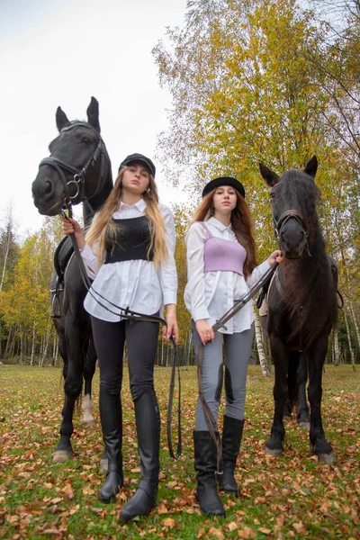 在秋林的背景下 两个长着长发 身材苗条的漂亮姑娘牵着马 — 图库照片
