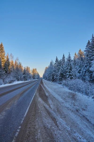 Bilväg Asfalterad Mitt Snötäckt Skog Klarblå Himmel Vinterlandskap — Stockfoto