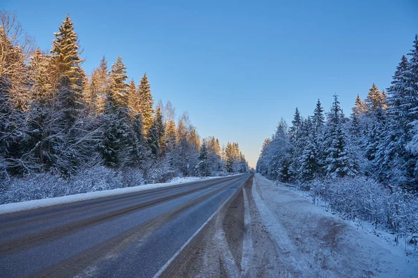 Bil asfalterad väg mitt i en snötäckt skog under en klarblå himmel. — Stockfoto