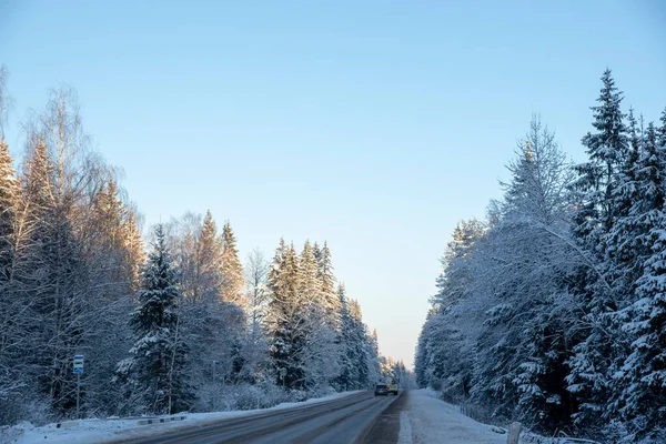 Autóval Kövezett Közepén Egy Hófödte Erdő Alatt Fényes Kék Téli — Stock Fotó