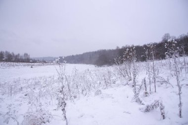 Karanlık bir ormana ve bulutlu gökyüzüne karşı buzlu bir nehrin karla kaplı kıyısı..