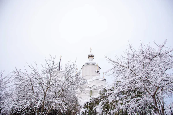 stock image Gentle winter landscape. The snow-white church stands surrounded by snow-covered trees.