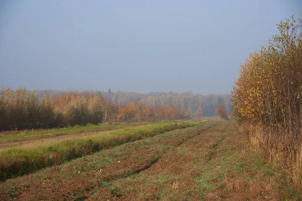 Herfstlandschap Vuile Weg Velden Het Bos — Stockfoto