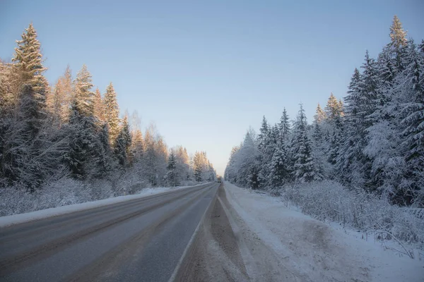 Bil asfalterad väg mitt i en snötäckt skog under en klarblå himmel. — Stockfoto