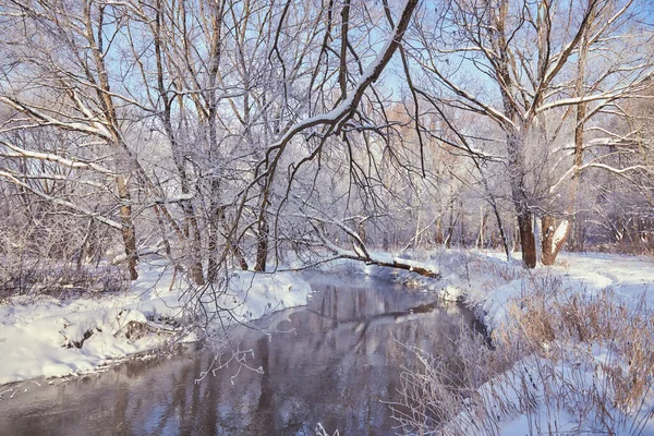 En liten flod rinner mellan snötäckta träd en klar vinterdag. — Stockfoto
