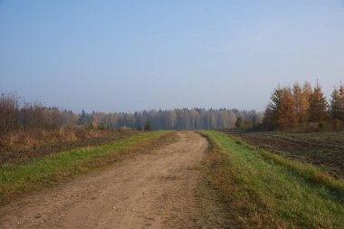 Sonbahar manzarası. Tarlalardaki toprak yol, ormana gidiyor..