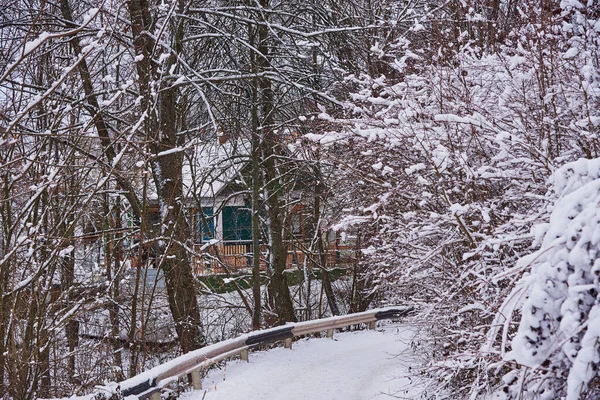 Winterlandschaft Verschneite Straße Zwischen Den Bäumen Dahinter Ein Dorfhaus — Stockfoto