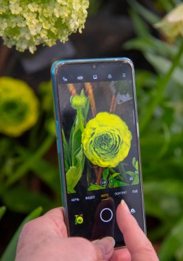 Rusya, Moskova, Şubat 2021. Yaşlı bir kadın cep telefonuyla bahar çiçeklerinin fotoğraflarını çekiyor..