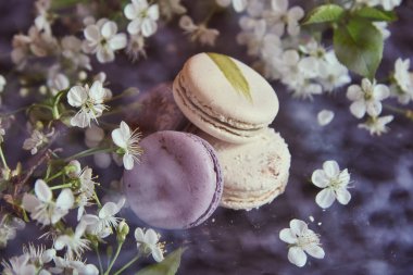 Siyah bir arkaplanda kiraz çiçekleriyle süslenmiş bir sürü renkli badem kurabiyesi. Fotoğraf şeffaf bir ızgaradan çekilmiş. Metin ve tasarım için boşluk kopyala.