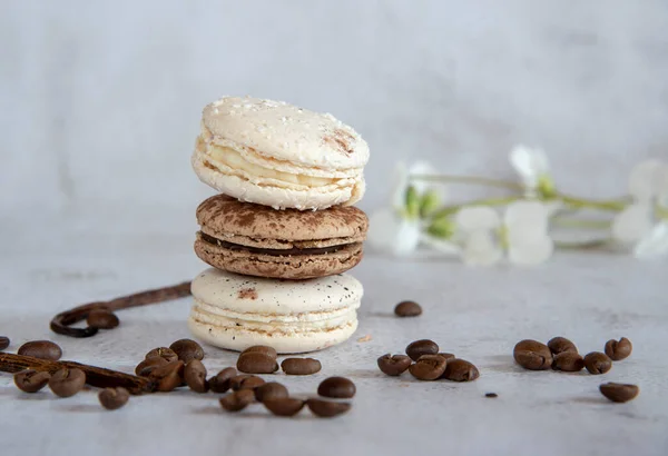 Café Baunilha Macaroon São Empilhados Uma Pirâmide Fundo Cinza Claro — Fotografia de Stock