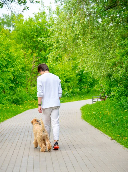 Een Jongeman Witte Kleren Loopt Een Lentedag Met Een Hond — Stockfoto