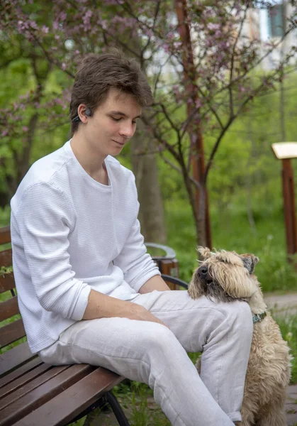 Young Man White Clothes Sits Bench Spring Park His Dog — Stock Photo, Image