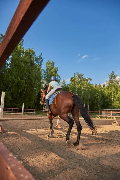 A girl rider on a horse jumps over an obstacle. Equestrian competitions.