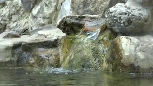 Horský Pramen Čistá Průhledná Voda Teče Kamenech Řeky — Stock video