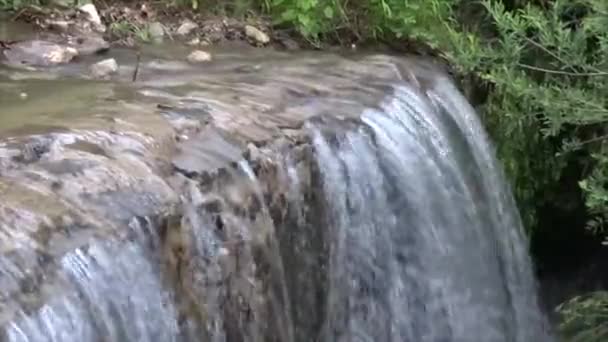 Acqua limpida e trasparente scorre lungo le pietre nel fiume. — Video Stock