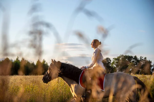 Flicka Vit Skjorta Rider Häst Ett Fält Fotot Togs Genom — Stockfoto