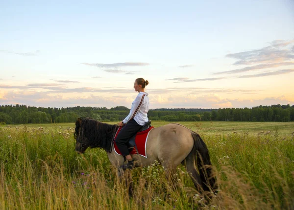 Flicka Vit Skjorta Rider Häst Ett Fält — Stockfoto
