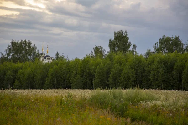 Sommarkväll Mulet Landskap Åkern Skogen Bakom Den Kyrkans Kupoler Syns — Stockfoto