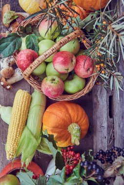 Sonbahar hasadı. Parlak balkabakları ve elmalar, mısır, mantar ve ahşap yüzeyde çeşitli meyveler.