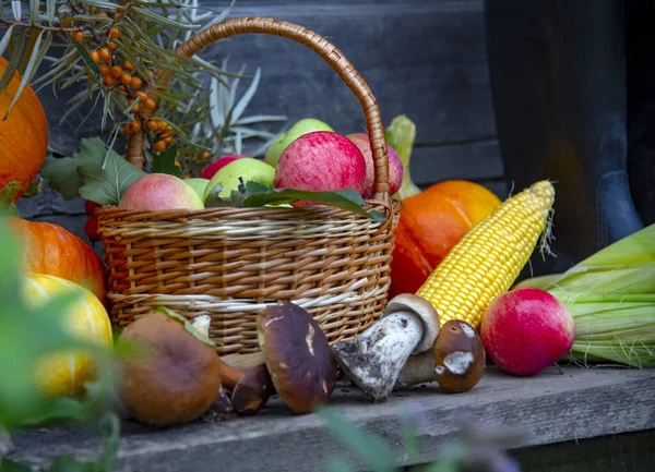 Autumn harvest. Bright fresh fruits, vegetables and berries are lying on the wooden porch. There are rubber boots nearby.