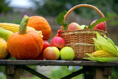 Sonbahar hasadı. Parlak balkabakları, sulu elmalar, mısırlar bahçede eski ahşap bir bankta yatıyor..