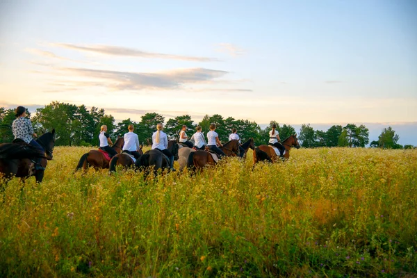 Moskvaregionen Ruza Augusti 2021 Grupp Tjejer Hästar Galopperar Genom Ängarna — Stockfoto