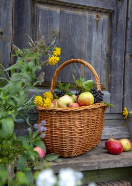 Çiçeklerle çevrili ahşap bir verandada kırmızı elmalar ve siyah bir aronya dalı olan hasır bir sepet. Kırsal arkaplan.