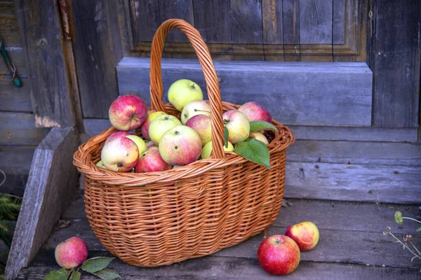 Wicker Basket Rosy Apples Wooden Porch Surrounded Flowers Rustic Background — Stock Photo, Image