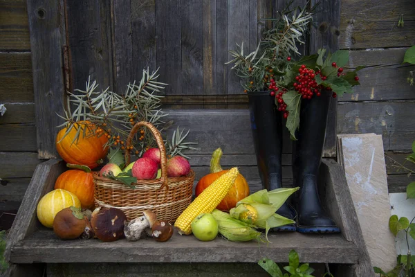 Autumn harvest. Bright fresh fruits, vegetables and berries are lying on the wooden porch. There are rubber boots nearby.