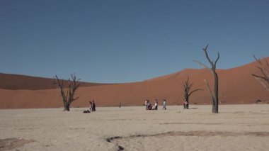 Namibya. Sossusvlei. Namib Çölü, Namibya 'daki Namib-Naulkuft Parkı' nda güneşli bir sabahın erken saatlerinde..