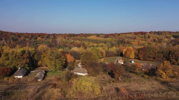 乌克兰。秋天在村里。空中无人机图像视图：带着森林、田野飞越秋天的村庄. — 图库视频影像