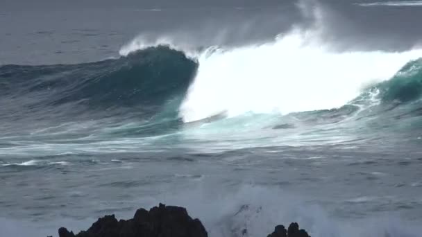 Vågor. Storm utanför Atlantens kust på ön Madeira — Stockvideo