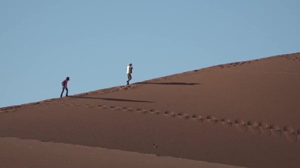 Namibië. Wereldberoemde Dode Vlei droge klei pan met rode woestijn zandduinen in Sossusvlei. — Stockvideo