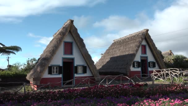 Madeira. Sazdan çatılı geleneksel evler — Stok video