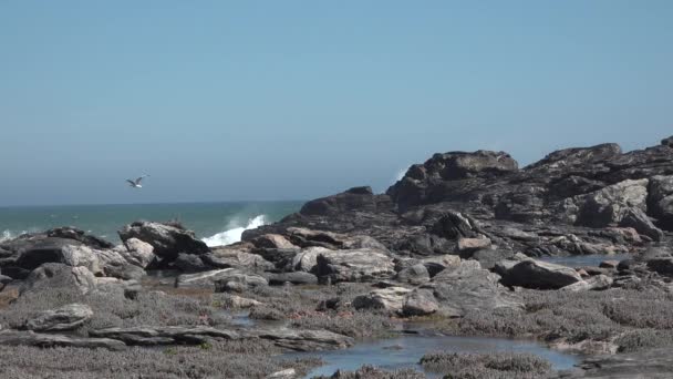 Onde. Oceano Atlantico grandi onde che si infrangono sulla roccia della Namibia. — Video Stock