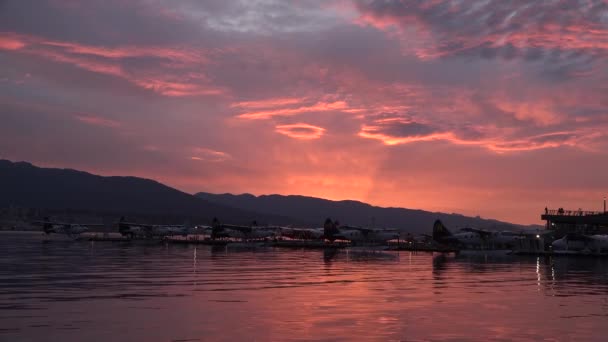 Kanada mı? Vancouver. Deniz havalimanı. Denizde deniz uçakları. — Stok video