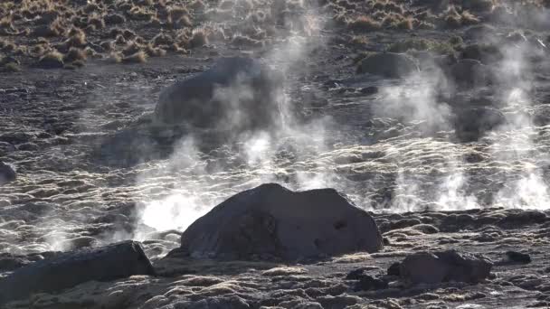 Cile. Deserto di Atacama. Valle dei geyser. Geyser El Tatio che fumano nel deserto di Atacama, Sud America. Il vapore che esce — Video Stock