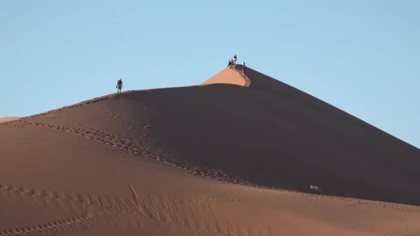Namibia. Namib Desert, Sossusvlei. La gente cammina lungo la spina dorsale delle dune più alte del mondo in Namibia, Africa. Trekking famoso — Video Stock