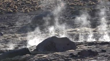 Şili. Atacama Çölü 'nün Fumaroles' leri.