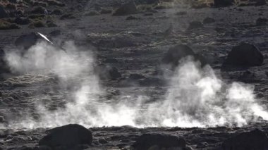 Şili. Atacama Çölü 'nün Fumaroles' leri.