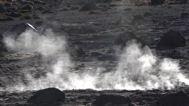 智利。阿塔卡马沙漠的Fumaroles. — 图库视频影像