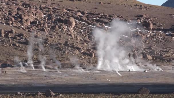 Cile. San Pedro de Atacama. Fumarole del deserto di Atacama. Una vista panoramica di qualche geyser nella Valle di — Video Stock